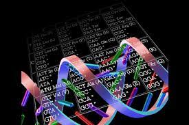 Amino acids, DNA, protein, & Hebrew